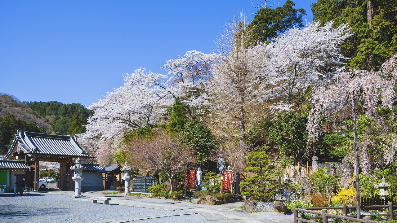 日章観光タクシー株式会社